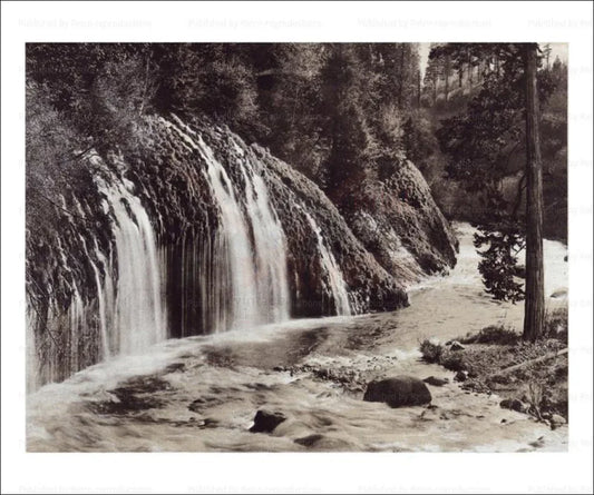 Mossbrae Falls, Shasta Springs - VINTAGEARTREPRINTS.COM