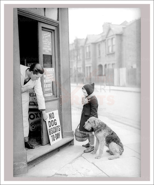 No Dog Biscuit Today - Vintage Art, canvas prints