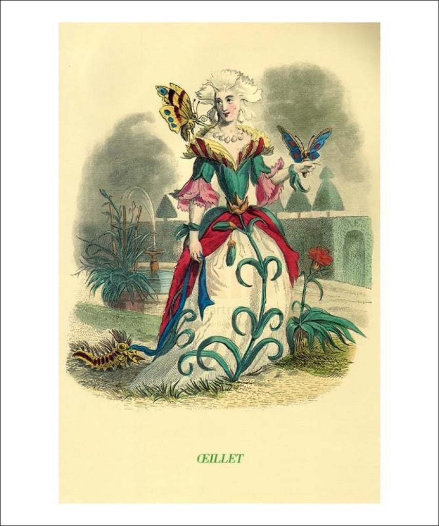 Oeillets - Vintage Art, canvas prints