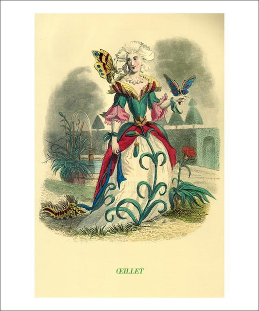 Oeillets - Vintage Art, canvas prints