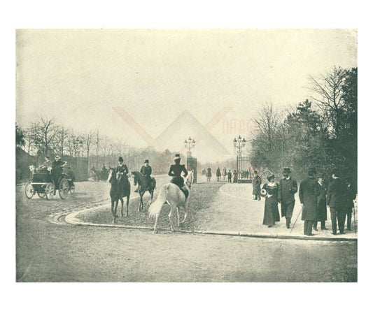 Paris, Le Matin Au Bois Le matin, photographic print - Vintage Art, canvas prints