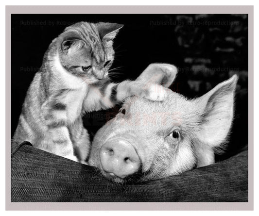 Paws for Thoughts - Vintage Art, canvas prints