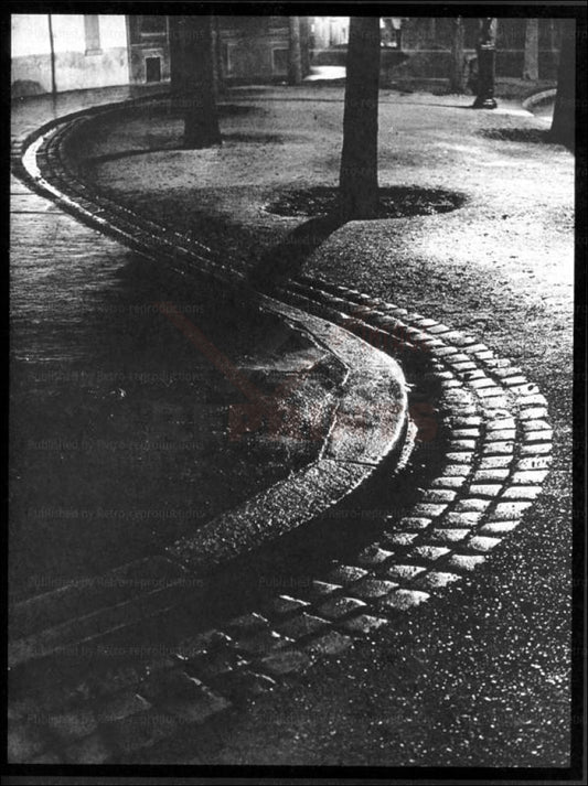 Brassai - Vintage Art, a boardwalk in a snake shape Paris