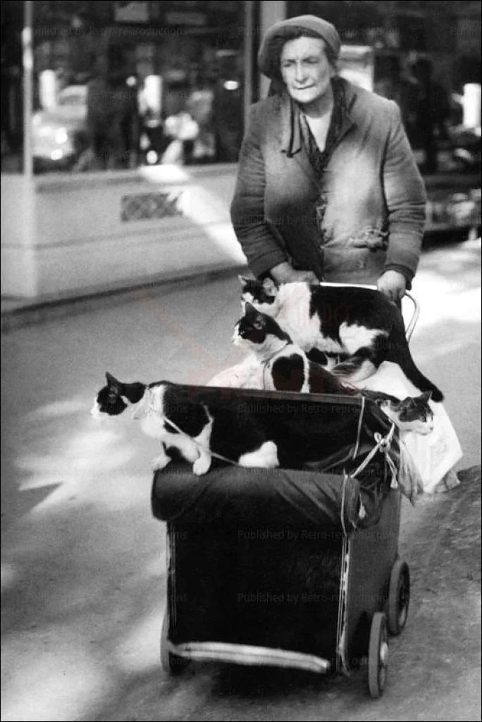 Woman Driving her Cats in a Baby Cart - VINTAGEARTREPRINTS.COM
