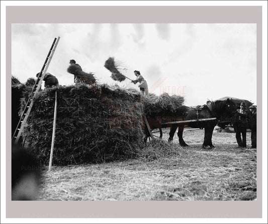 Women at War - On the Land 9, vintage art photo print reproduction, WWII - Vintage Art, canvas prints