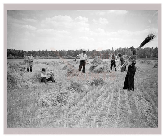 Women at War - On the Land 6 - vintage art photo print reproduction, WWII - Vintage Art - canvas prints