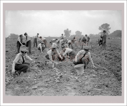Women at War - Forces Services 6, vintage art photo print reproduction, WWII - Vintage Art, canvas prints