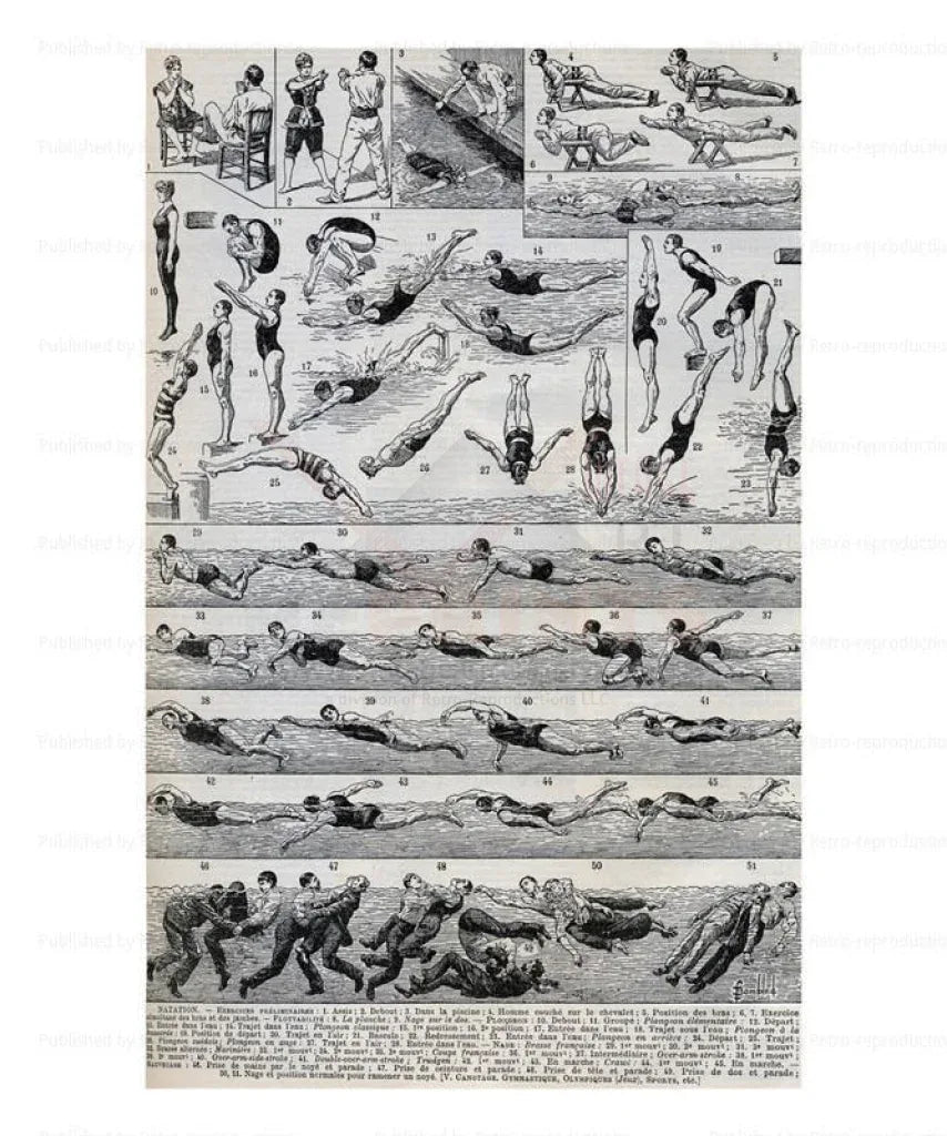 Swimming - VINTAGEARTREPRINTS.COM