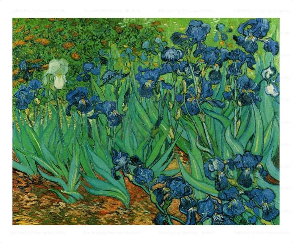The Iris, Vincent Van Gogh, 1889 - VINTAGEARTREPRINTS.COM