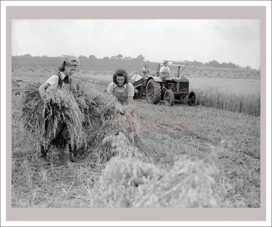Vintage art canvas print, Vintage, art prints, photography, Women at War - On the Land 15, WWII - Vintage Art, canvas prints