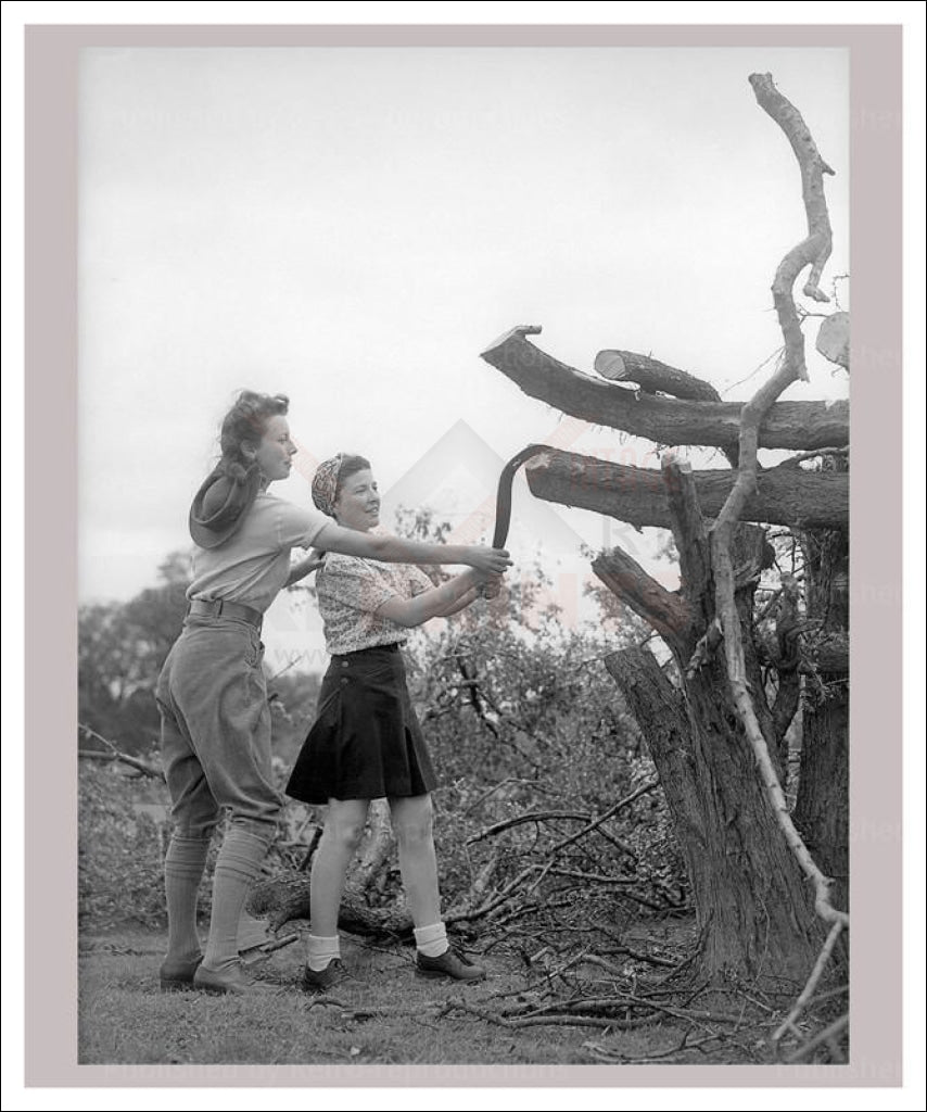 Vintage art canvas prints, Women at War - On the Land 18, WWII - Vintage Art, canvas prints