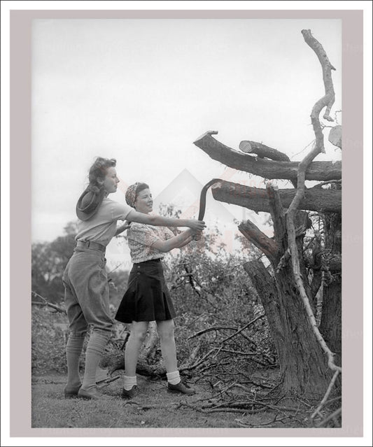 Vintage art canvas prints, Women at War - On the Land 18, WWII - Vintage Art, canvas prints