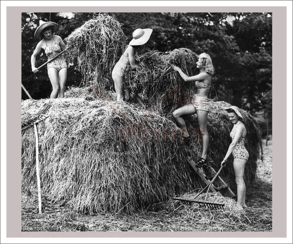 Vintage art canvas prints, Women at War - On the Land 19, WWII - Vintage Art, canvas prints