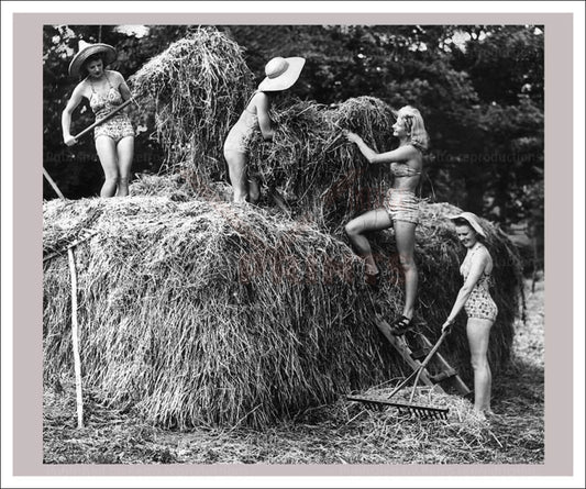 Vintage art canvas prints, Women at War - On the Land 19, WWII - Vintage Art, canvas prints