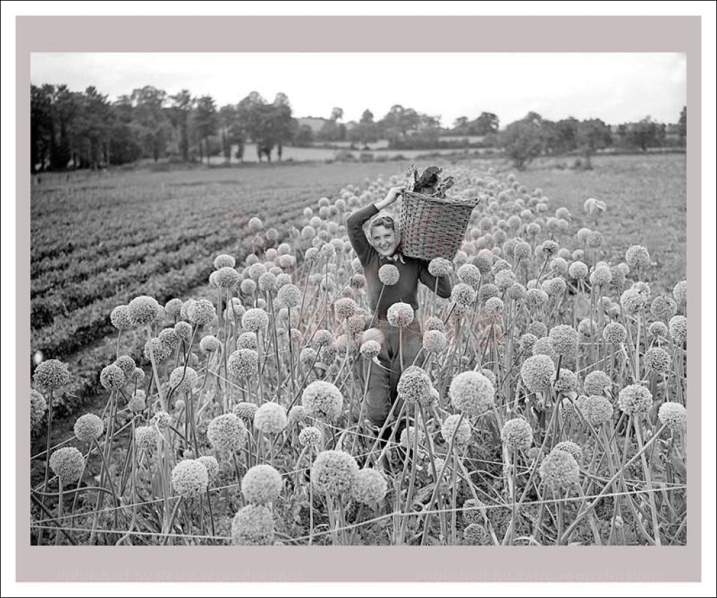 Vintage art canvas prints, Women at War - On the Land 21, WWII - Vintage Art, canvas prints