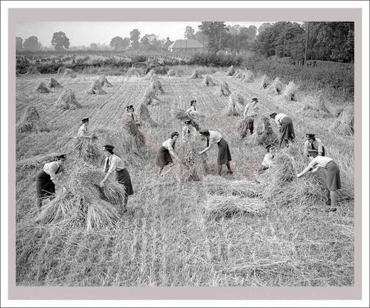 Vintage art canvas prints, Women at War - on the Land 21, WWII - Vintage Art, canvas prints