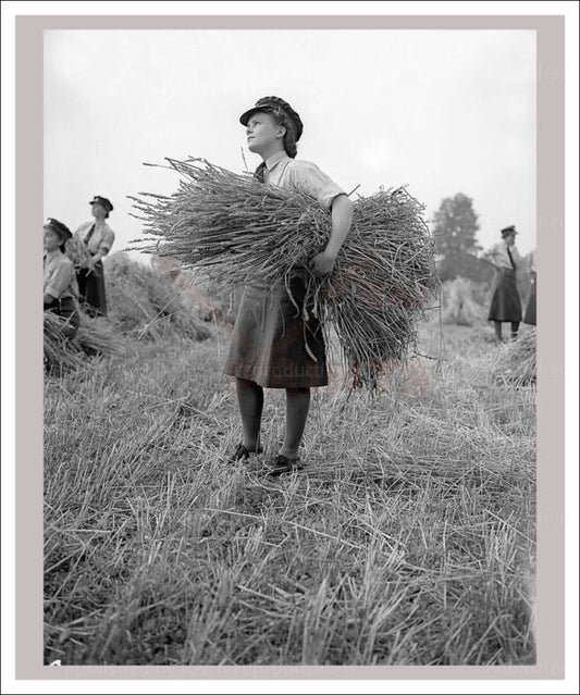 Vintage art canvas prints, Women at War - on the Land 22, WWII - Vintage Art, canvas prints