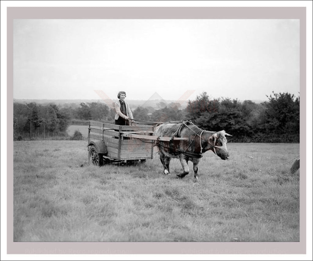 Vintage, art prints,  photography, On the Land 13, WWII - Vintage Art, canvas prints