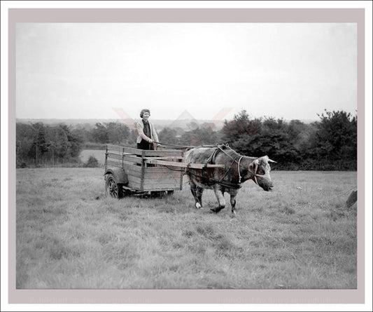 Vintage, art prints,  photography, On the Land 13, WWII - Vintage Art, canvas prints