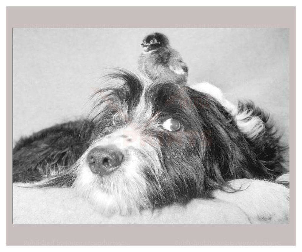 What are you looking at - Vintage Art, canvas prints