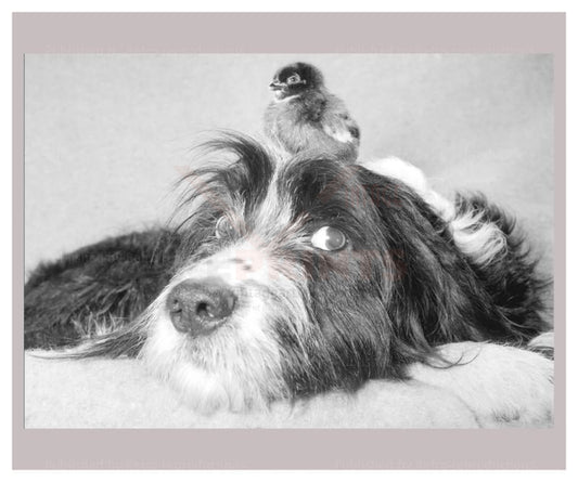 What are you looking at - Vintage Art, canvas prints